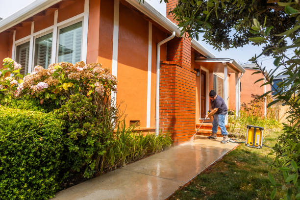Best Local Pressure Washing Services  in Elgin, MN