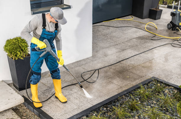 Best Commercial Building Pressure Washing  in Elgin, MN